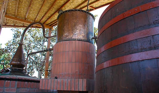 El alambique en Bodega RAS