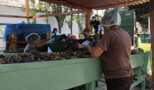 Patio en Bodega RAS